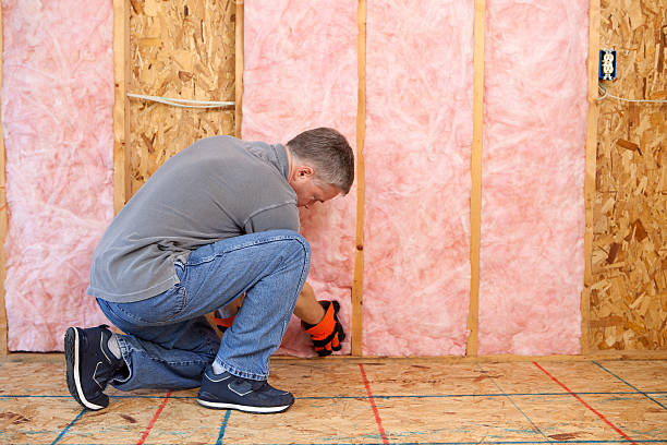 Best Commercial Insulation in Exeter, CA
