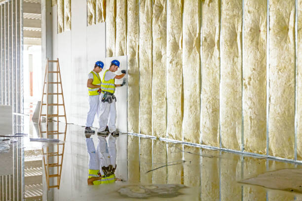 Best Spray Foam Insulation in Exeter, CA